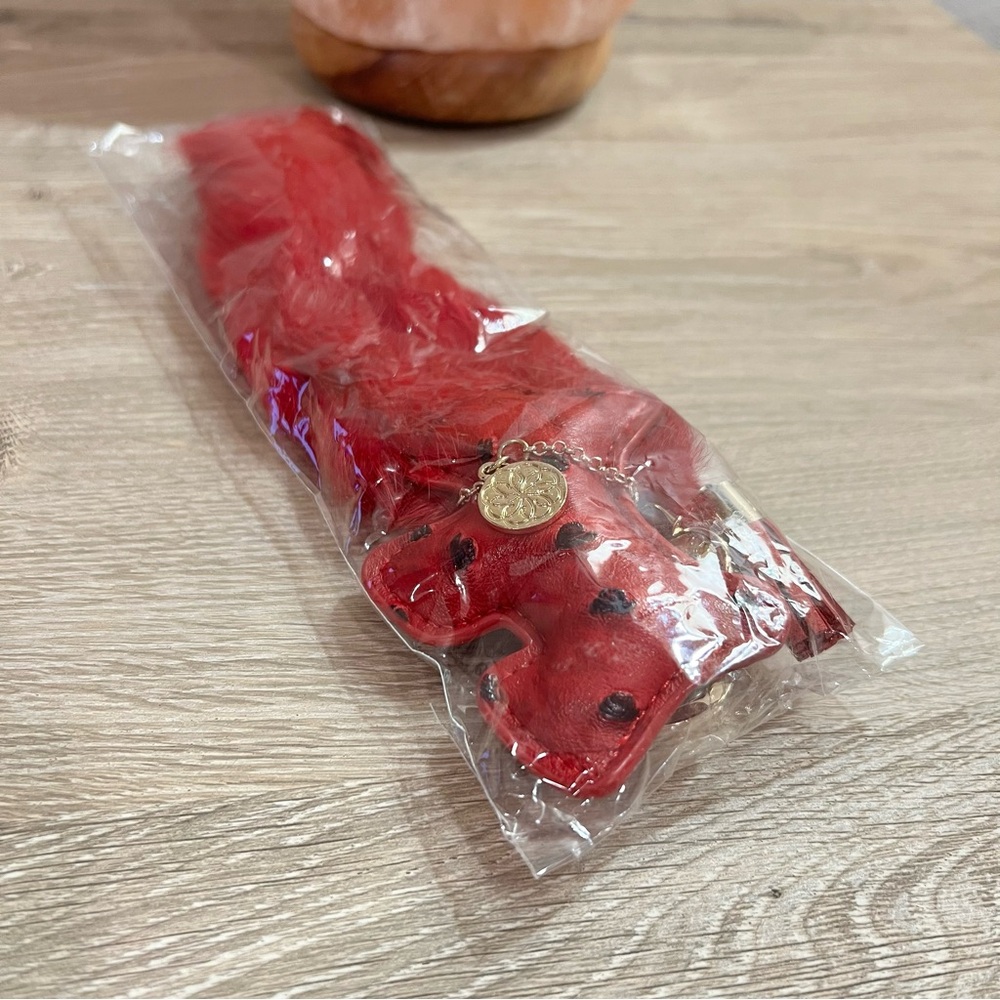 Cristina Sabatini Red Dog Purse Charm